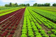 Phú Yên phân bổ kinh phí xây dựng nông thôn mới năm 2022