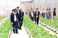Nghệ An được phân bổ gần 1.380 tỷ đồng xây dựng nông thôn mới giai đoạn 2021-2025