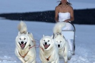 Chu du hơn 22.000 km để thực hiện bộ ảnh cưới