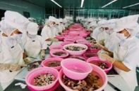Đại gia thủy sản quỵt nợ hàng chục tỷ đồng