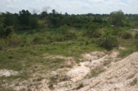 Xi măng Fico trước nguy cơ tuột dốc