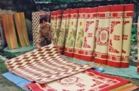 Bấp bênh nghề trồng cói Nga Sơn