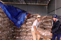 Khoai tây Trung Quốc "đội lốt" Đà Lạt vẫn ngập chợ