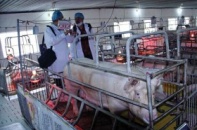 Công ty Thiên Thuận Tường khốn đốn vì tin đồn