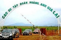 HAGL hoàn tất bán cổ phần cho Credit Suisse Limited
