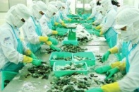 Xuất khẩu tôm gánh nặng thuế trùng thuế