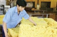 Cổ phiếu cao su Phước Hòa thu hút nhà đầu tư dài hạn