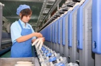 Ngành sợi dồn dập dự án mới