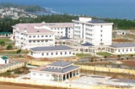 Quảng Ngãi thêm nhà máy bột giấy 180 triệu USD