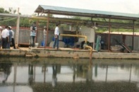 Xả thải ra môi trường, Đại Việt bị phạt 115 triệu đồng