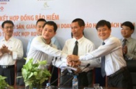 PJICO bảo hiểm 13.000 tỷ đồng cho dự án Royal City