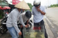 Đặc sản ba ba, cá sấu bán ở vỉa hè TP HCM