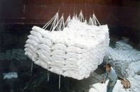 Giá đường thấp, lợi nhuận của Bourbon Tây Ninh giảm