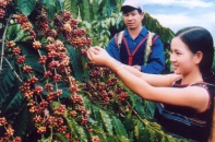 Hỗ trợ DN xúc tiến thương mại tại Ấn Độ và Bangladesh