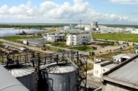 Knauf đầu tư 30 triệu euro sản xuất thạch cao tấm