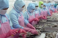 Lợi thế Việt kiều ở thị trường xuất khẩu 20 tỷ USD