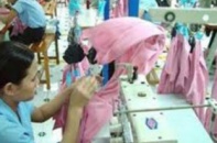 Giá bông giảm, lợi nhuận Dệt Thành Công tăng mạnh