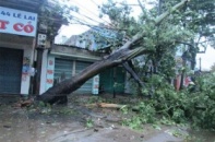 Lại xuất hiện siêu bão đe dọa Việt Nam