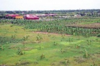 Khu công nghiệp Lai Vu hoang vu vì khiếu kiện