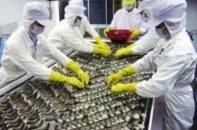 Vasep phản đối phán quyết về thuế chống trợ cấp tôm