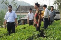 Agribank cho vay 2.279 xã xây dựng nông thôn mới