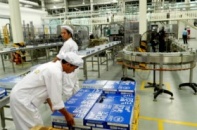 THMilk muốn phát triển nguyên liệu sữa tại Thanh Hóa