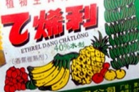 Cảnh báo về thuốc ép chín hoa quả nguồn gốc Trung Quốc