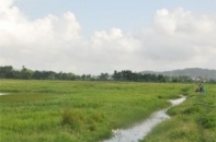 Thanh Hóa: Giải bài toán nông dân bỏ ruộng