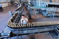 Chuyện nộp thuế của các Sao Vàng đất Việt