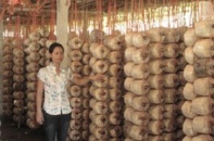 Hà Nam xây dựng mô hình sản xuất mới