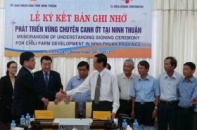 Tập đoàn CJ CheilJedang đầu tư trang trại ớt ở Ninh Thuận