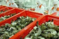Mỹ thừa nhận tôm Việt Nam không bán phá giá