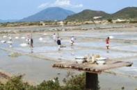 Chấm dứt đầu tư Dự án Căn cứ dịch vụ dầu khí Vân Phong