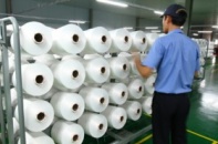 Cung sợi tăng nhanh nhờ đại dự án