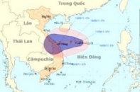 Bão số 8 nhắm vào miền Trung