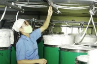 CTCP Dệt sợi Damsan:Trên đường trở thành thương hiệu lớn