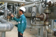 Thanh tra hàng loạt doanh nghiệp về môi trường