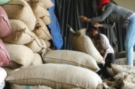 Doanh nghiệp cà phê khủng hoảng trầm trọng