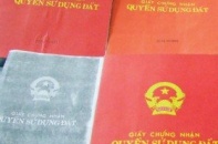 Tuyên chung thân nữ giám đốc làm giả 7 sổ đỏ
