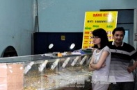 Giữa ban ngày, dùng gạch đập tủ kính cướp vàng