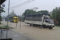 Nghệ An: mưa lớn, QL1A tắc hàng chục km