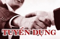 Tuyển giám đốc ngành gỗ xuất khẩu