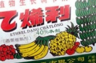 Kinh hoàng nghìn ống thuốc ép chín hoa quả nhãn Trung Quốc
