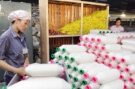Nguồn cung nguyên, phụ liệu dệt may bị “làm giá”