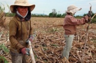 Bảo hiểm hưu trí: Liệu có xung đột “lãnh thổ”