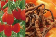 Ngày 28/10, DN Trung Quốc mở hội chợ tại Hà Nội