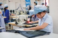 Dệt may ngoại nôn nóng đón sóng TPP