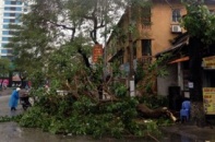 Quảng Ninh thiệt hại hơn 100 tỷ do bão Haiyan