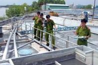 Bức tử môi trường, Công ty Hào Dương bị dừng hoạt động từ 20/11