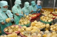 Công bố báo cáo năng lực cạnh tranh của doanh nghiệp